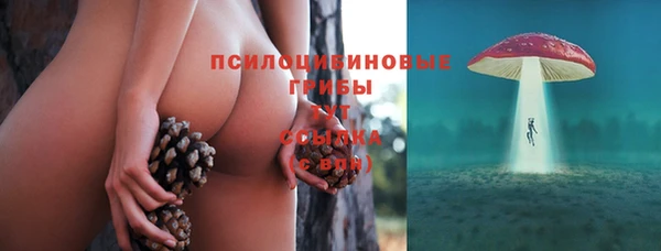 МДМА Елизово