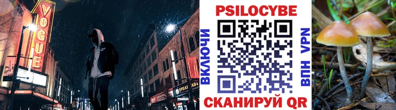 купить наркоту Вышний Волочёк mega вход Галлюциногенные грибы Psilocybe